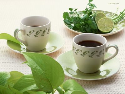 茶葉進(jìn)口與食品報關(guān) 一站式商務(wù)服務(wù)指南